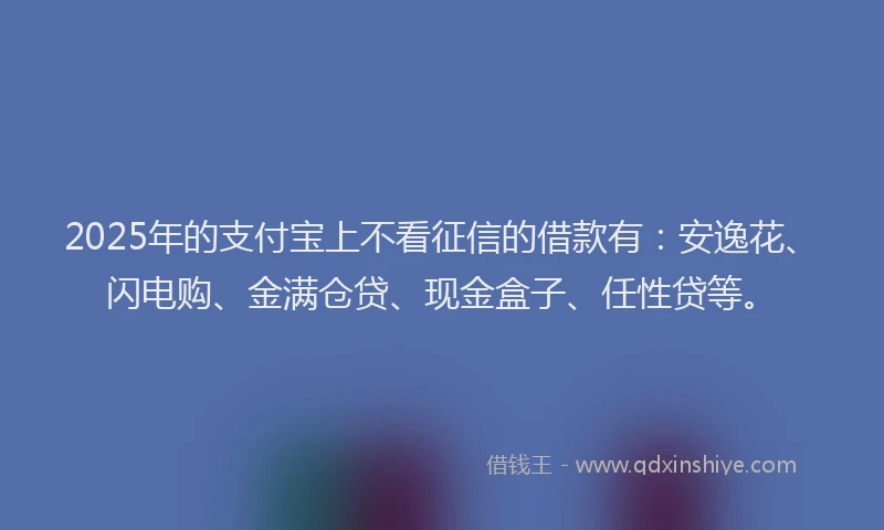 2025年的支付宝上不看征信的借款有：安逸花、闪电购、金满仓贷、现金盒子、任性贷等。