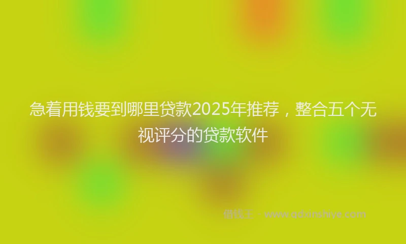急着用钱要到哪里贷款2025年推荐，整合五个无视评分的贷款软件