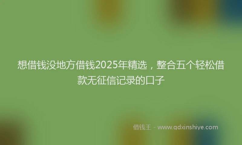 想借钱没地方借钱2025年精选，整合五个轻松借款无征信记录的口子