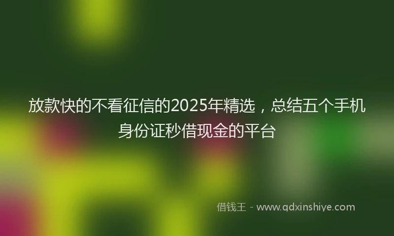 放款快的不看征信的2025年精选，总结五个手机身份证秒借现金的平台