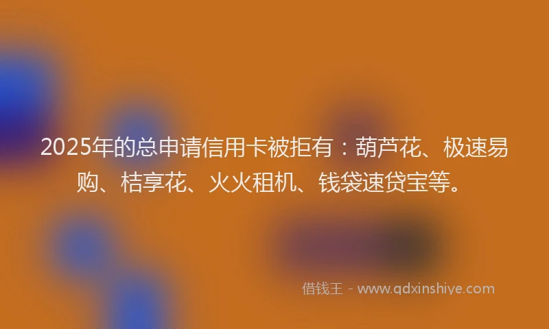 2025年的总申请信用卡被拒有：葫芦花、极速易购、桔享花、火火租机、钱袋速贷宝等。