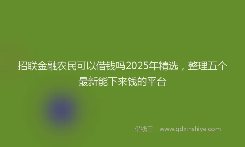 招联金融农民可以借钱吗2025年精选，整理五个最新能下来钱的平台