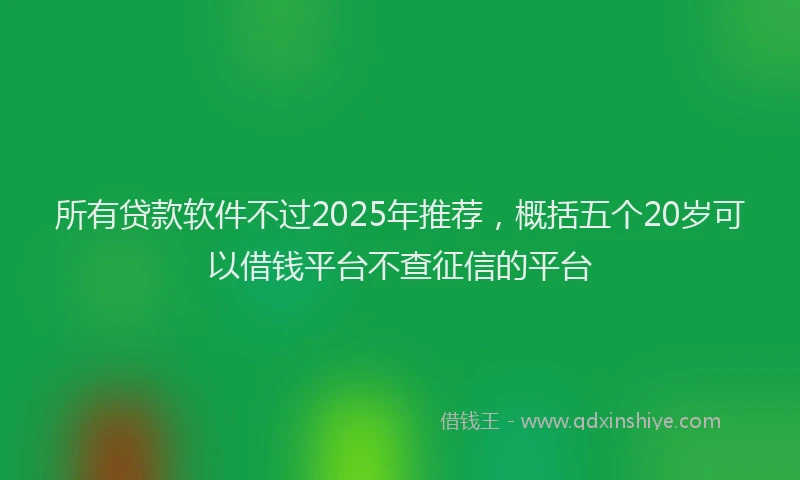 所有贷款软件不过2025年推荐，概括五个20岁可以借钱平台不查征信的平台