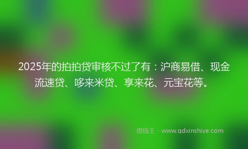 2025年的拍拍贷审核不过了有：沪商易借、现金流速贷、哆来米贷、享来花、元宝花等。