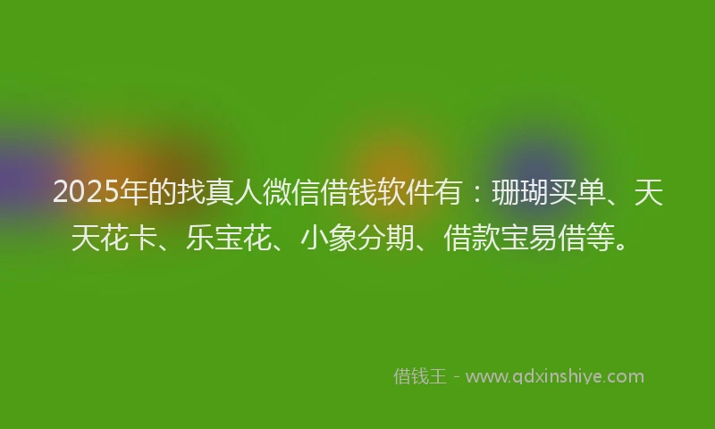 2025年的找真人微信借钱软件有：珊瑚买单、天天花卡、乐宝花、小象分期、借款宝易借等。