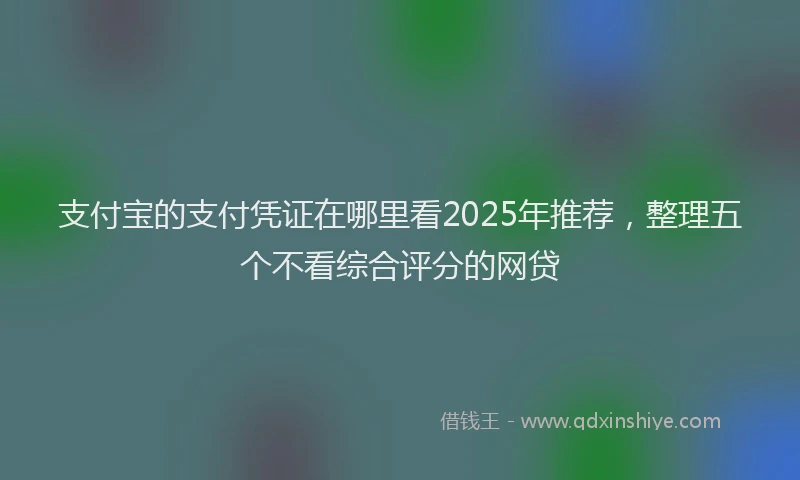 支付宝的支付凭证在哪里看2025年推荐，整理五个不看综合评分的网贷
