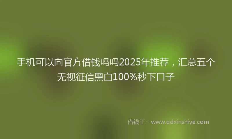 手机可以向官方借钱吗吗2025年推荐，汇总五个无视征信黑白100%秒下口子