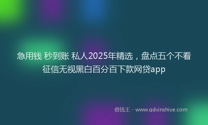 急用钱 秒到账 私人2025年精选，盘点五个不看征信无视黑白百分百下款网贷app