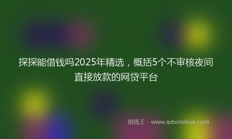 探探能借钱吗2025年精选，概括5个不审核夜间直接放款的网贷平台