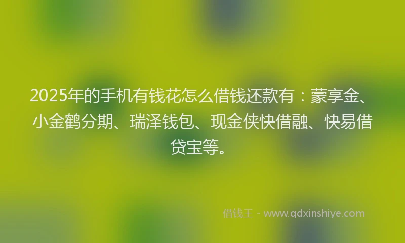2025年的手机有钱花怎么借钱还款有：蒙享金、小金鹤分期、瑞泽钱包、现金侠快借融、快易借贷宝等。