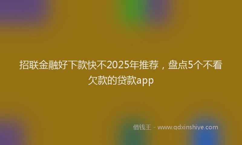 招联金融好下款快不2025年推荐，盘点5个不看欠款的贷款app