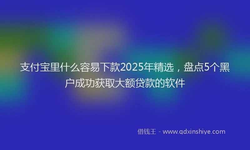 支付宝里什么容易下款2025年精选，盘点5个黑户成功获取大额贷款的软件