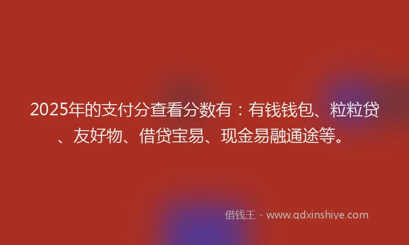 2025年的支付分查看分数有：有钱钱包、粒粒贷、友好物、借贷宝易、现金易融通途等。