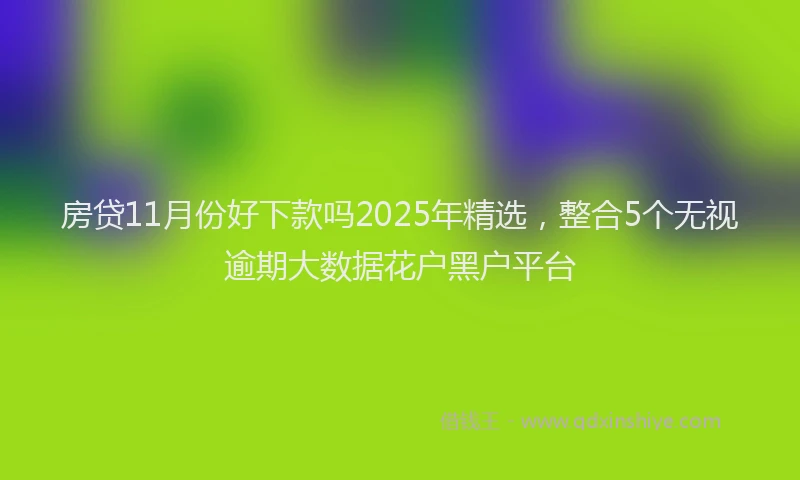 房贷11月份好下款吗2025年精选，整合5个无视逾期大数据花户黑户平台