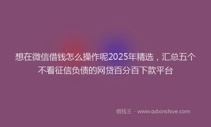想在微信借钱怎么操作呢2025年精选，汇总五个不看征信负债的网贷百分百下款平台