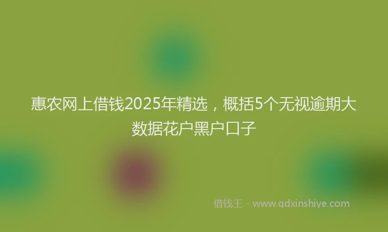 惠农网上借钱2025年精选，概括5个无视逾期大数据花户黑户口子