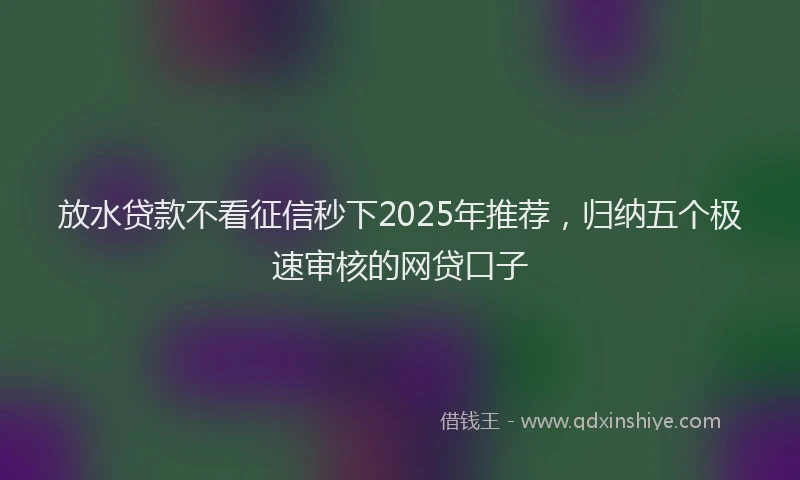 放水贷款不看征信秒下2025年推荐，归纳五个极速审核的网贷口子