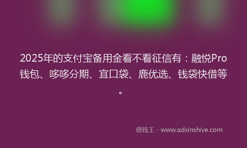 2025年的支付宝备用金看不看征信有：融悦Pro钱包、哆哆分期、宜口袋、鹿优选、钱袋快借等。