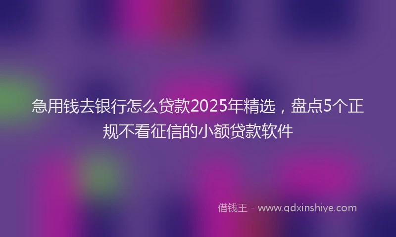 急用钱去银行怎么贷款2025年精选，盘点5个正规不看征信的小额贷款软件