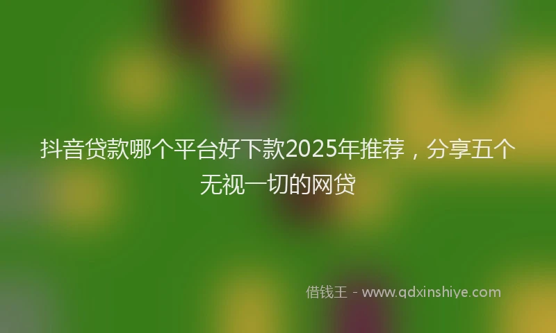 抖音贷款哪个平台好下款2025年推荐，分享五个无视一切的网贷