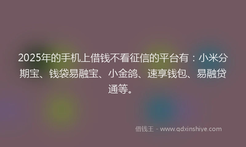 2025年的手机上借钱不看征信的平台有：小米分期宝、钱袋易融宝、小金鸽、速享钱包、易融贷通等。