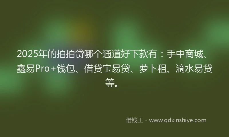 2025年的拍拍贷哪个通道好下款有：手中商城、鑫易Pro+钱包、借贷宝易贷、萝卜租、滴水易贷等。