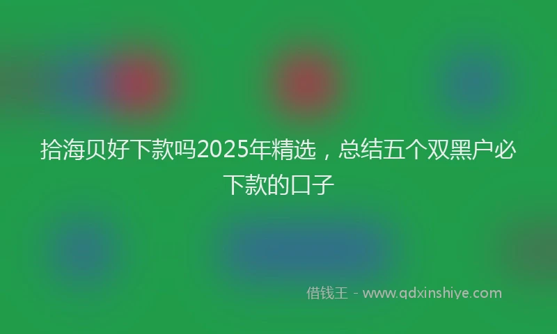 拾海贝好下款吗2025年精选，总结五个双黑户必下款的口子