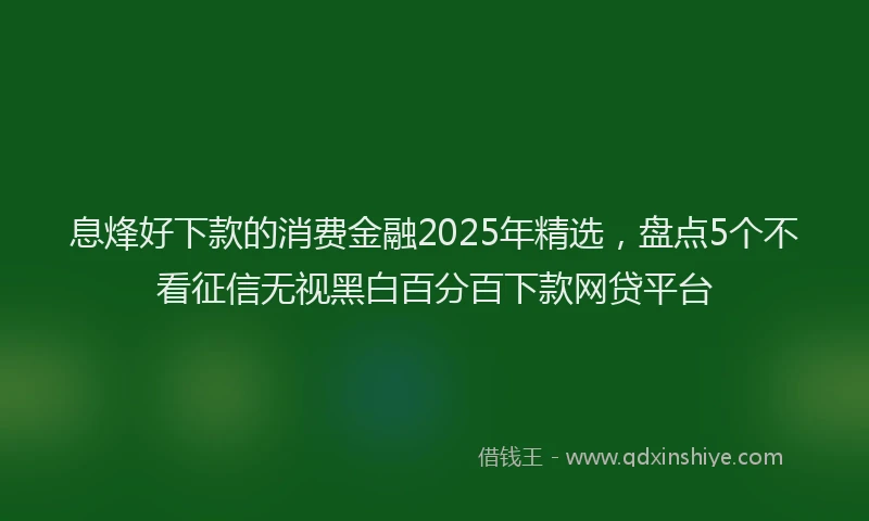息烽好下款的消费金融2025年精选，盘点5个不看征信无视黑白百分百下款网贷平台