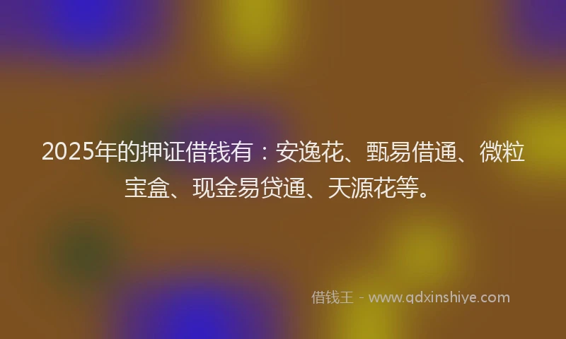 2025年的押证借钱有：安逸花、甄易借通、微粒宝盒、现金易贷通、天源花等。