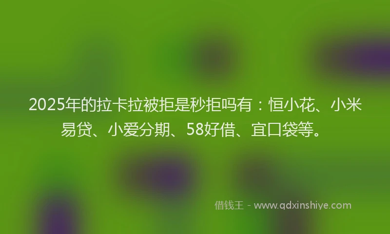 2025年的拉卡拉被拒是秒拒吗有：恒小花、小米易贷、小爱分期、58好借、宜口袋等。