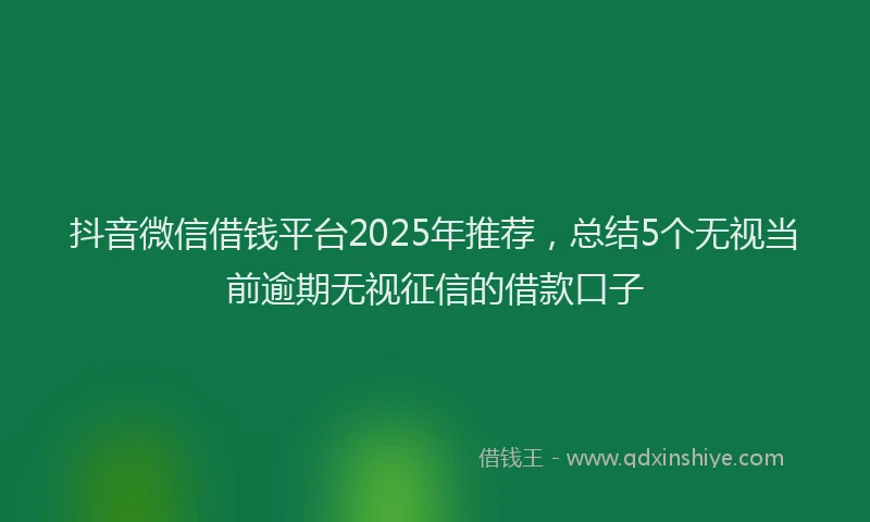 抖音微信借钱平台2025年推荐，总结5个无视当前逾期无视征信的借款口子