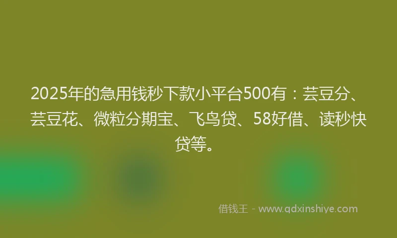 2025年的急用钱秒下款小平台500有：芸豆分、芸豆花、微粒分期宝、飞鸟贷、58好借、读秒快贷等。