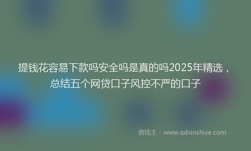 提钱花容易下款吗安全吗是真的吗2025年精选，总结五个网贷口子风控不严的口子