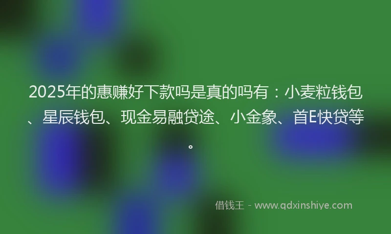 2025年的惠赚好下款吗是真的吗有：小麦粒钱包、星辰钱包、现金易融贷途、小金象、首E快贷等。