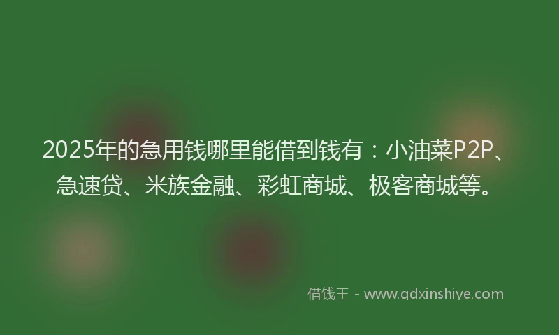 2025年的急用钱哪里能借到钱有：小油菜P2P、急速贷、米族金融、彩虹商城、极客商城等。