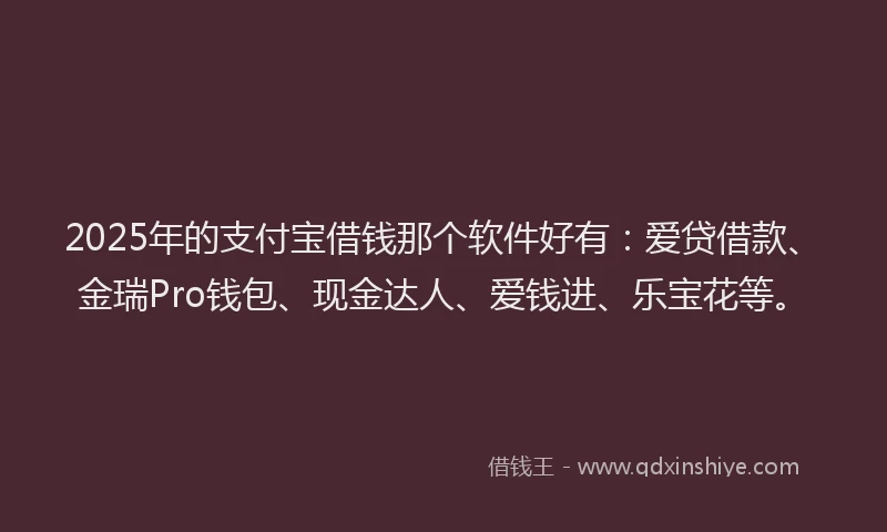 2025年的支付宝借钱那个软件好有：爱贷借款、金瑞Pro钱包、现金达人、爱钱进、乐宝花等。