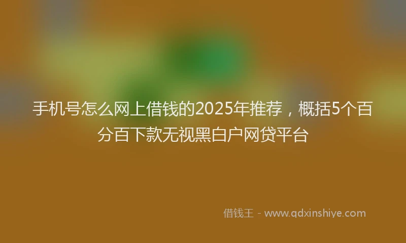 手机号怎么网上借钱的2025年推荐，概括5个百分百下款无视黑白户网贷平台
