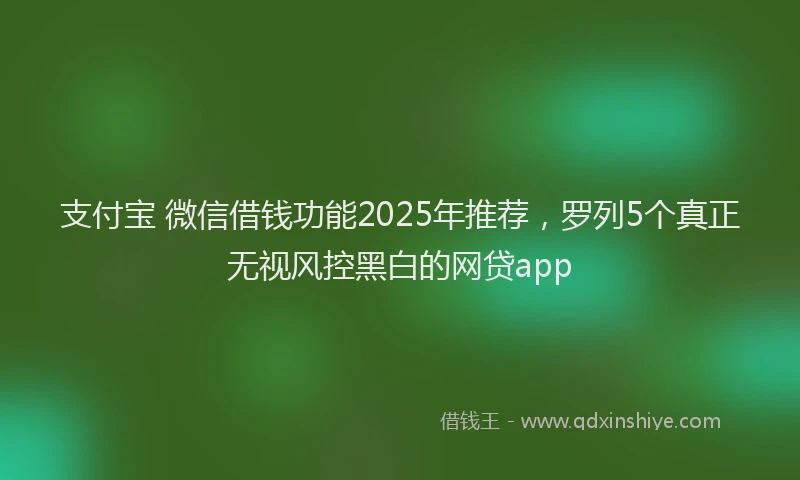 支付宝 微信借钱功能2025年推荐，罗列5个真正无视风控黑白的网贷app