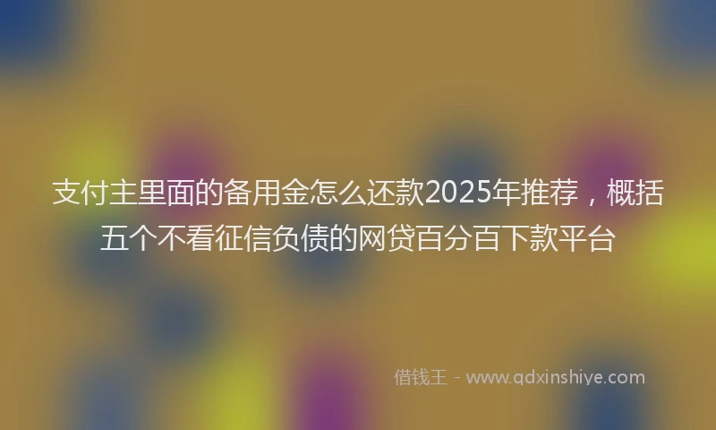 支付主里面的备用金怎么还款2025年推荐，概括五个不看征信负债的网贷百分百下款平台