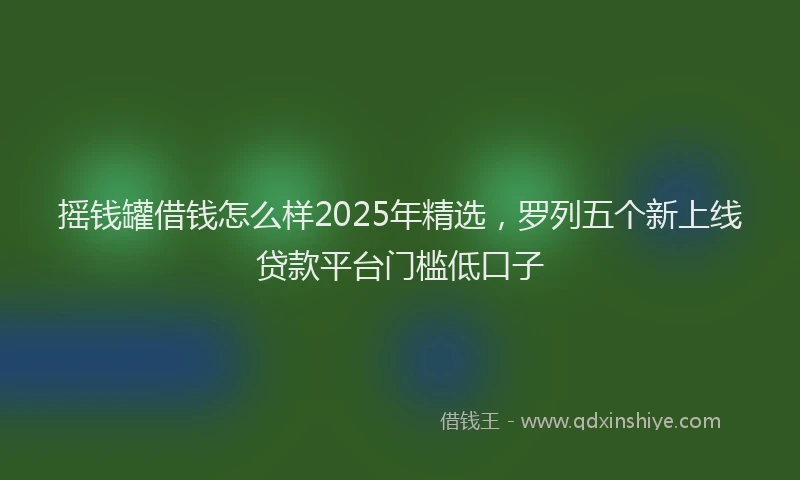 摇钱罐借钱怎么样2025年精选，罗列五个新上线贷款平台门槛低口子