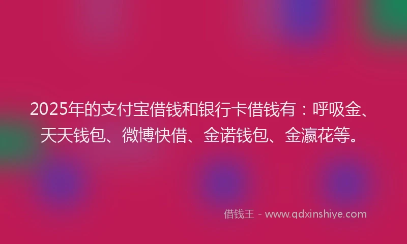 2025年的支付宝借钱和银行卡借钱有：呼吸金、天天钱包、微博快借、金诺钱包、金瀛花等。