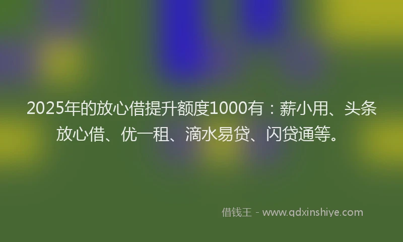 2025年的放心借提升额度1000有：薪小用、头条放心借、优一租、滴水易贷、闪贷通等。