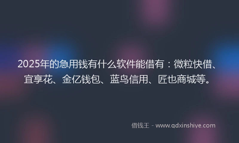 2025年的急用钱有什么软件能借有：微粒快借、宜享花、金亿钱包、蓝鸟信用、匠也商城等。