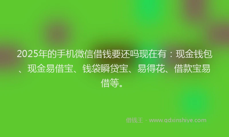 2025年的手机微信借钱要还吗现在有：现金钱包、现金易借宝、钱袋瞬贷宝、易得花、借款宝易借等。