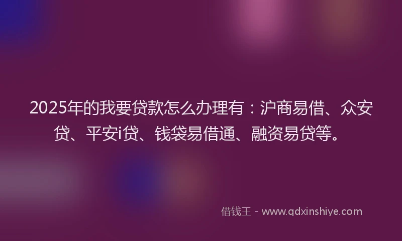 2025年的我要贷款怎么办理有：沪商易借、众安贷、平安i贷、钱袋易借通、融资易贷等。