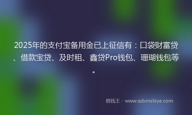 2025年的支付宝备用金已上征信有：口袋财富贷、借款宝贷、及时租、鑫贷Pro钱包、珊瑚钱包等。