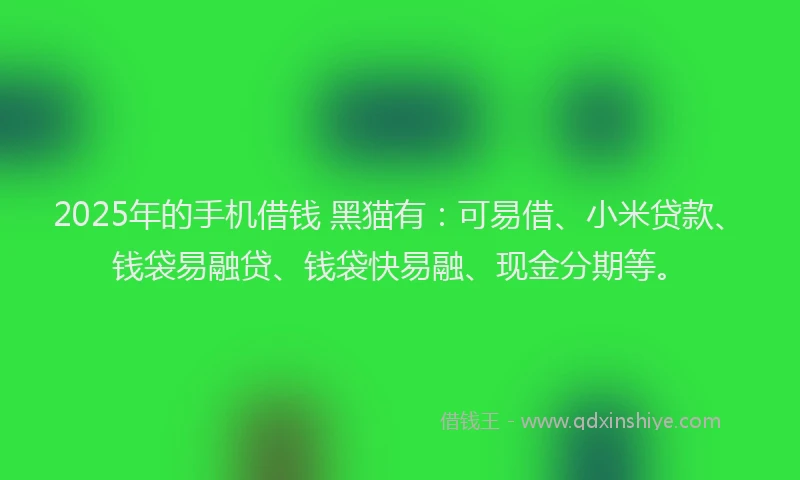 2025年的手机借钱 黑猫有：可易借、小米贷款、钱袋易融贷、钱袋快易融、现金分期等。
