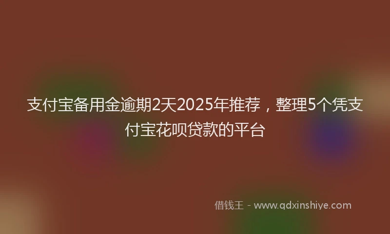 支付宝备用金逾期2天2025年推荐，整理5个凭支付宝花呗贷款的平台