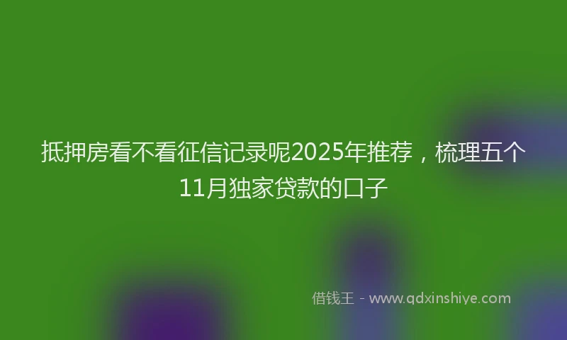 抵押房看不看征信记录呢2025年推荐，梳理五个11月独家贷款的口子