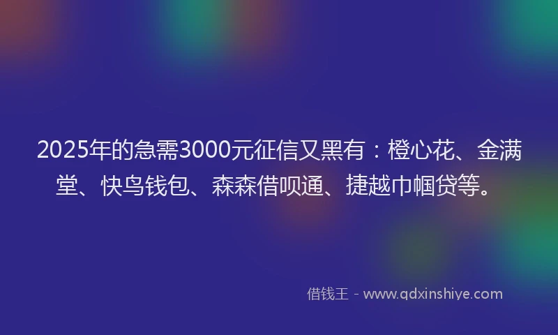 2025年的急需3000元征信又黑有：橙心花、金满堂、快鸟钱包、森森借呗通、捷越巾帼贷等。
